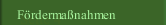 Fördermaßnahmen