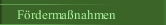 Fördermaßnahmen